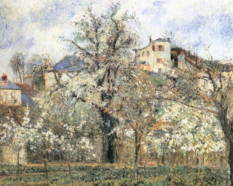 Camille Pissarro Pang plans spring Schwarz china oil painting image